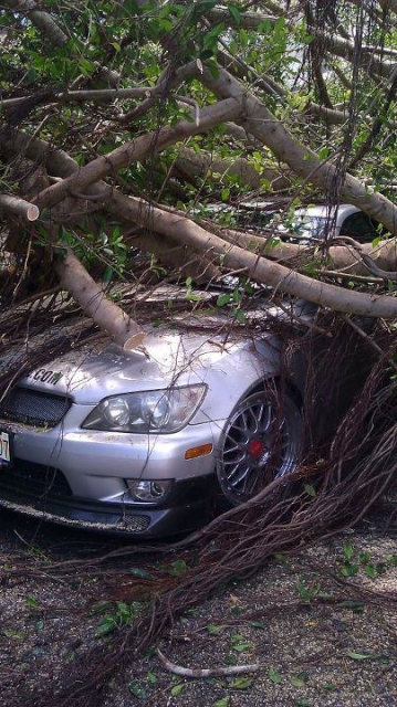 Large tree falls down and damages 9 cars including mines in the facility parking lot where I work at. Roughly 9.5k worth in repair. Reborn 3 months later #2ndchances